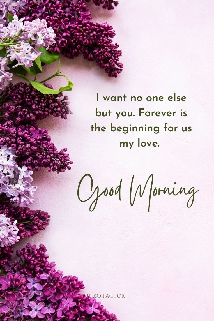 100 Beautiful Good Morning Messages For Your Loved Ones The XO Factor