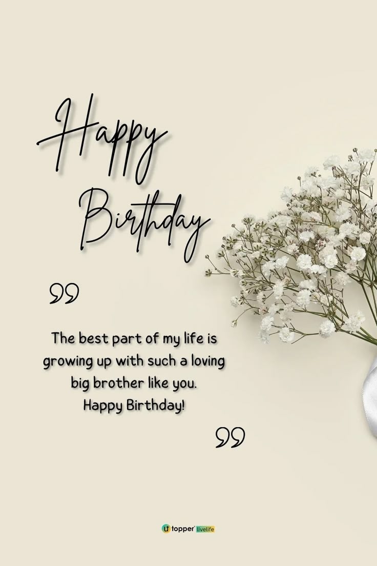 100 Best Birthday Wishes For Brother To Make His Day Special Livelife