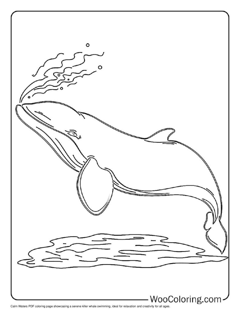 killer whale coloring page