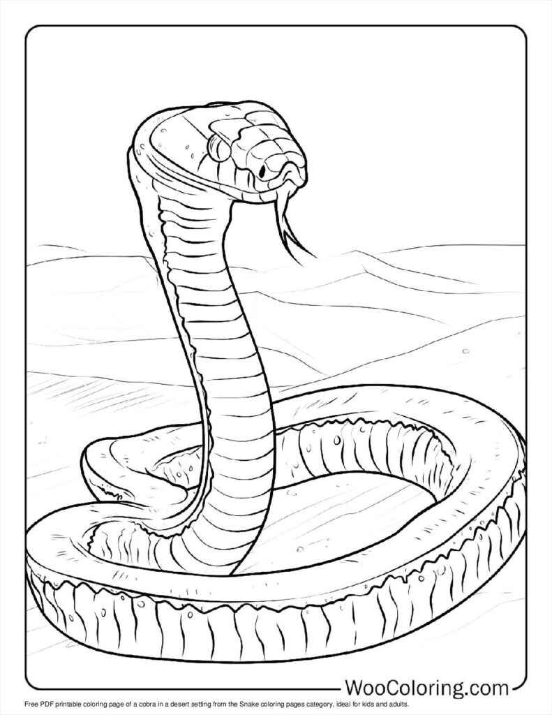 coloring pages of snakes coloring pages of snakes