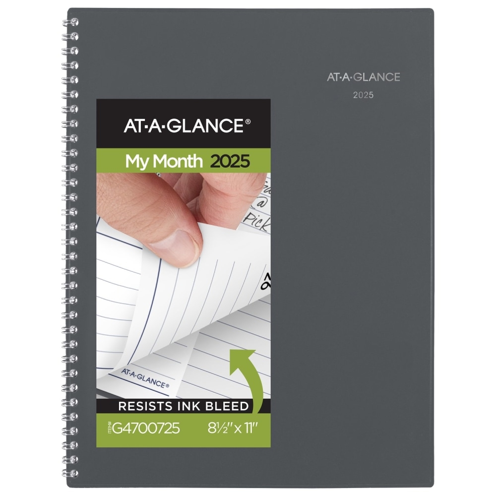 at a glance monthly planner 2025