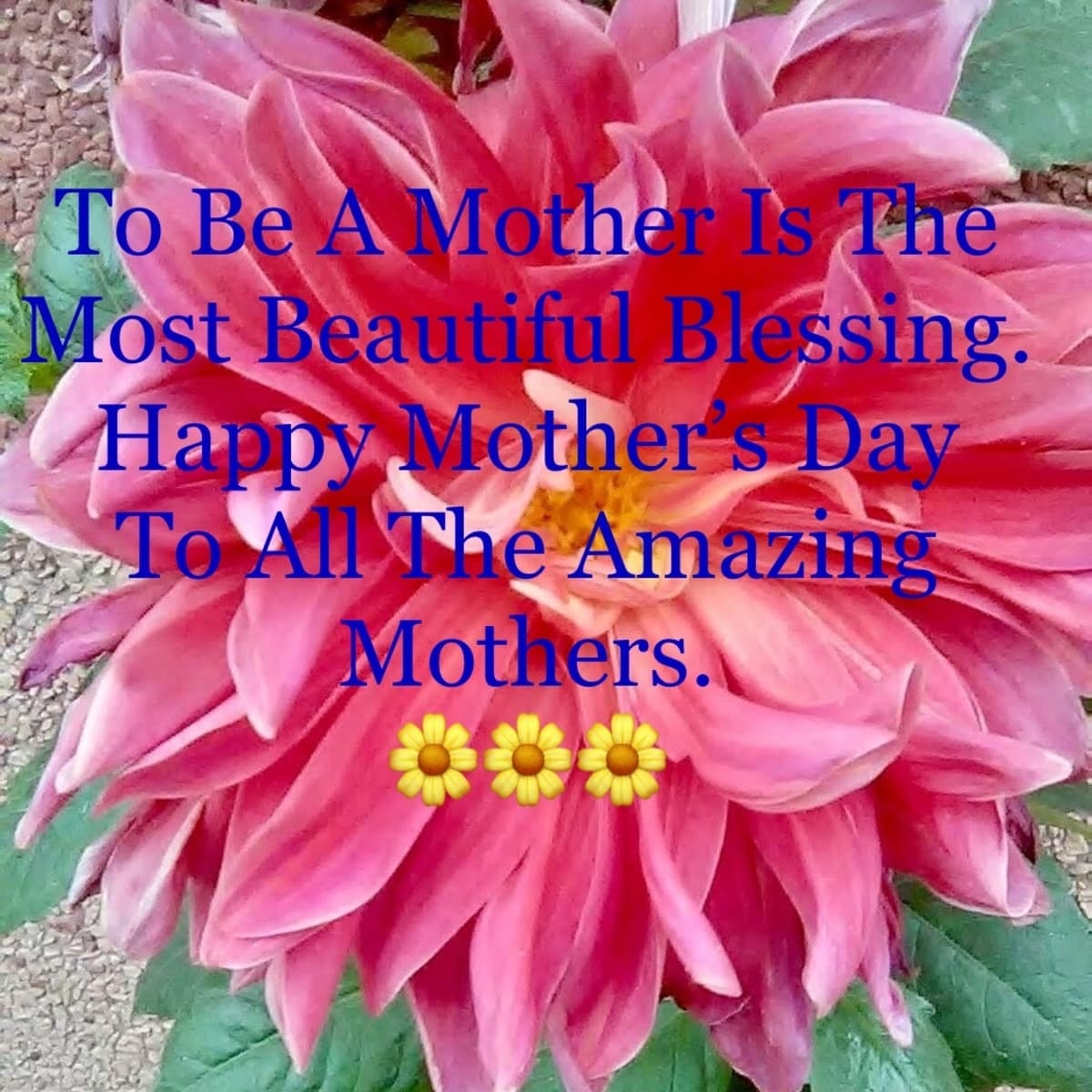 21 Best And Beautiful Mother s Day Quotes HubPages