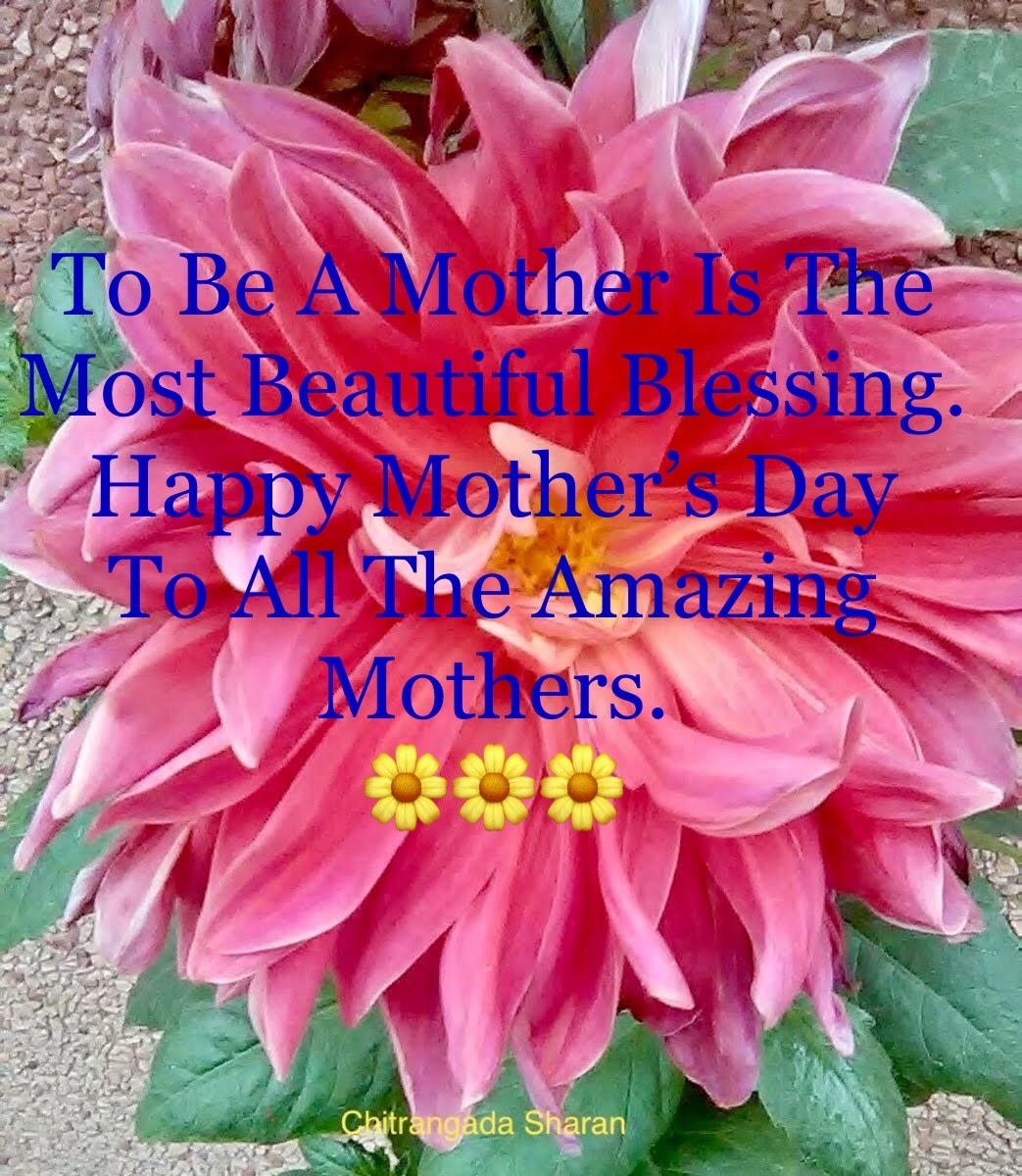 21 Best And Beautiful Mother s Day Quotes HubPages