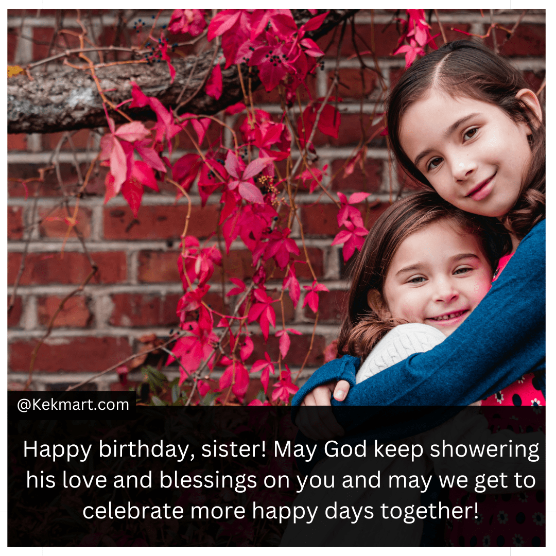 status birthday wishes sister