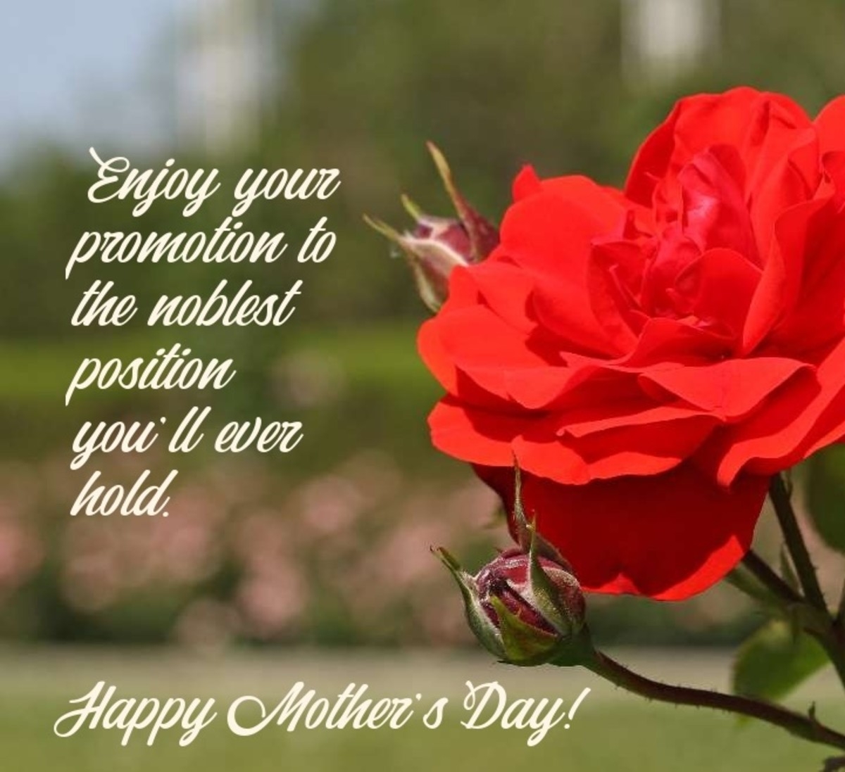 30 Mother s Day Messages For Teenage Mothers HubPages