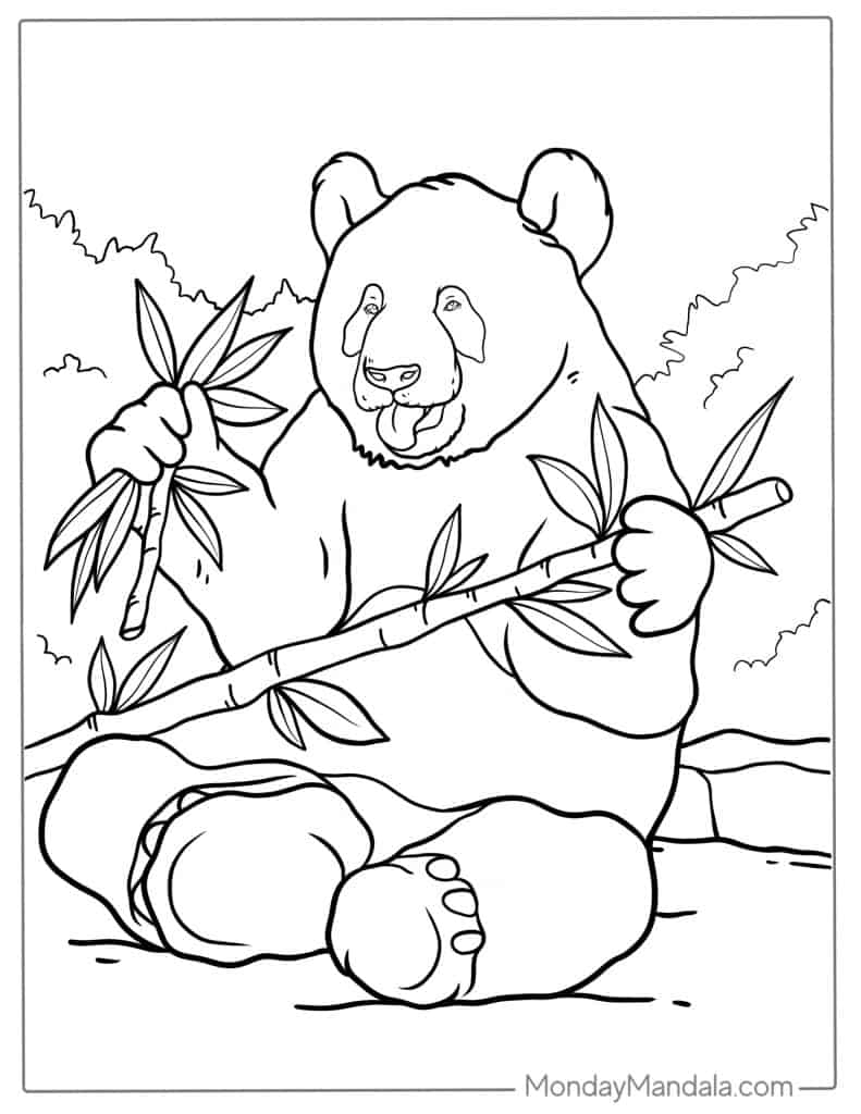 panda bear coloring pages
