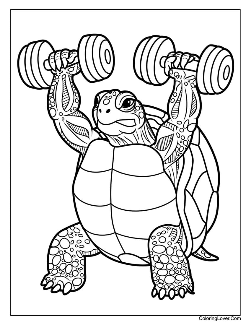 Colouring Pages Of Turtles