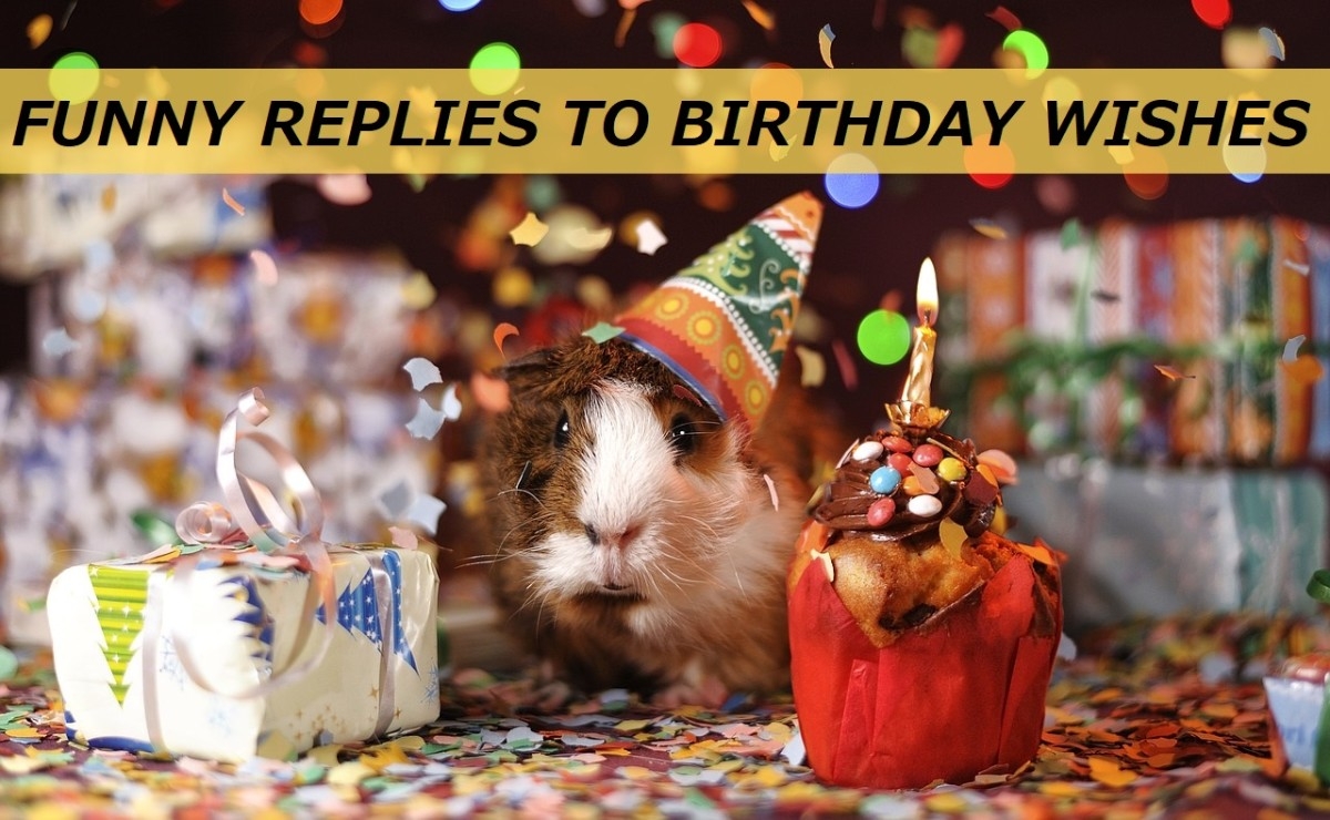 Thanks For The Birthday Wishes Funny