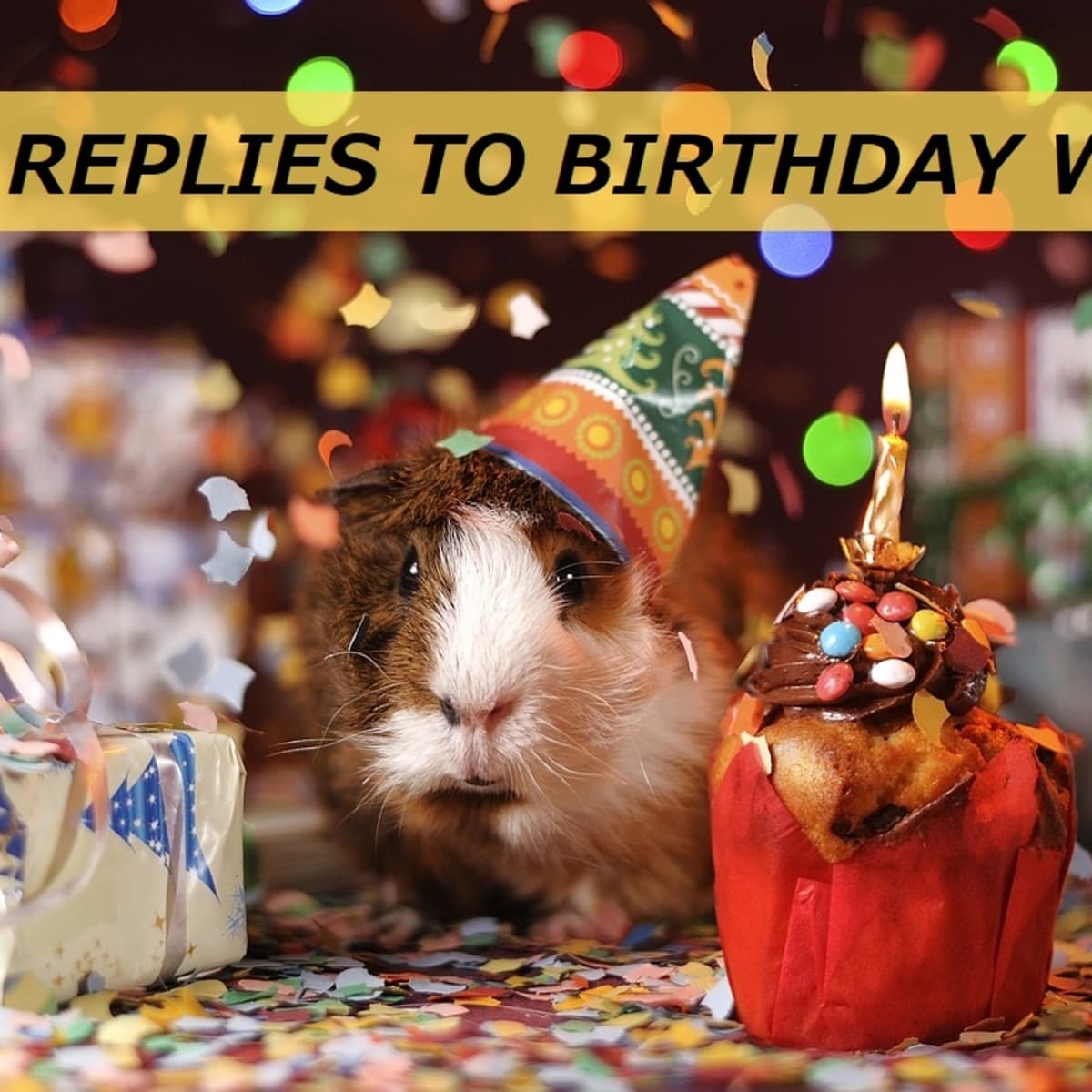50 Funny Replies To Birthday Wishes HubPages