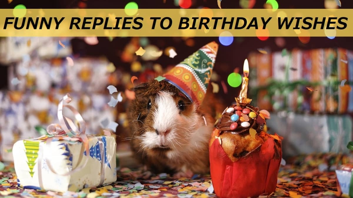 50 Funny Replies To Birthday Wishes HubPages