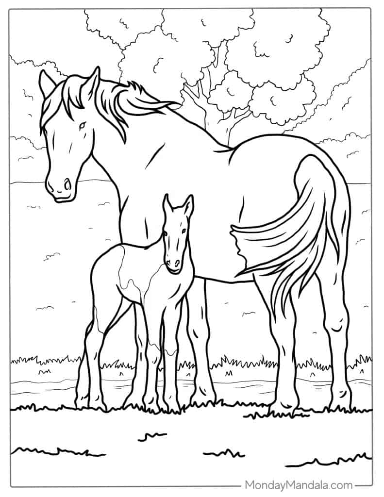 Printable Coloring Pages Horses