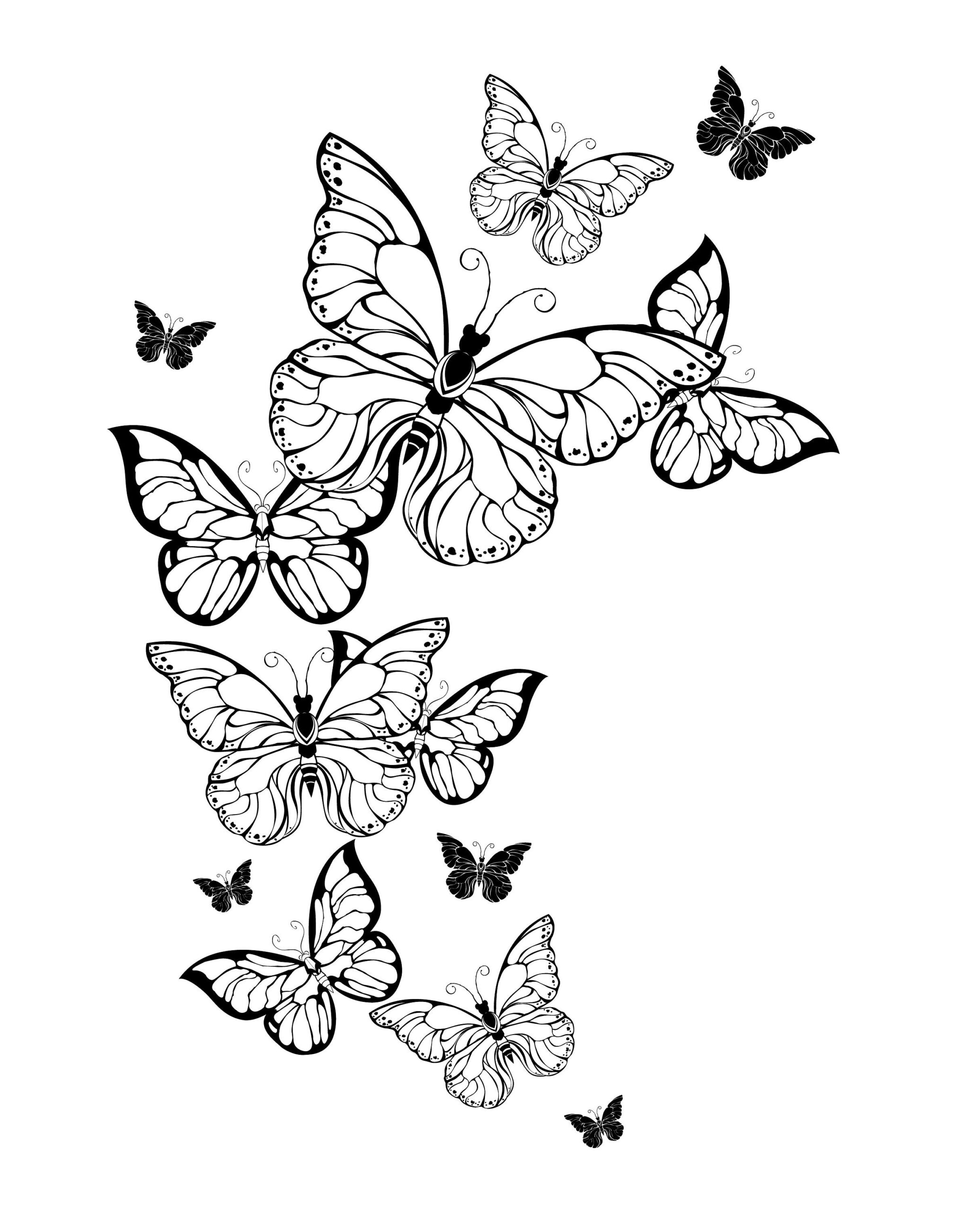 butterfly coloring pages for adults butterfly coloring pages for adults