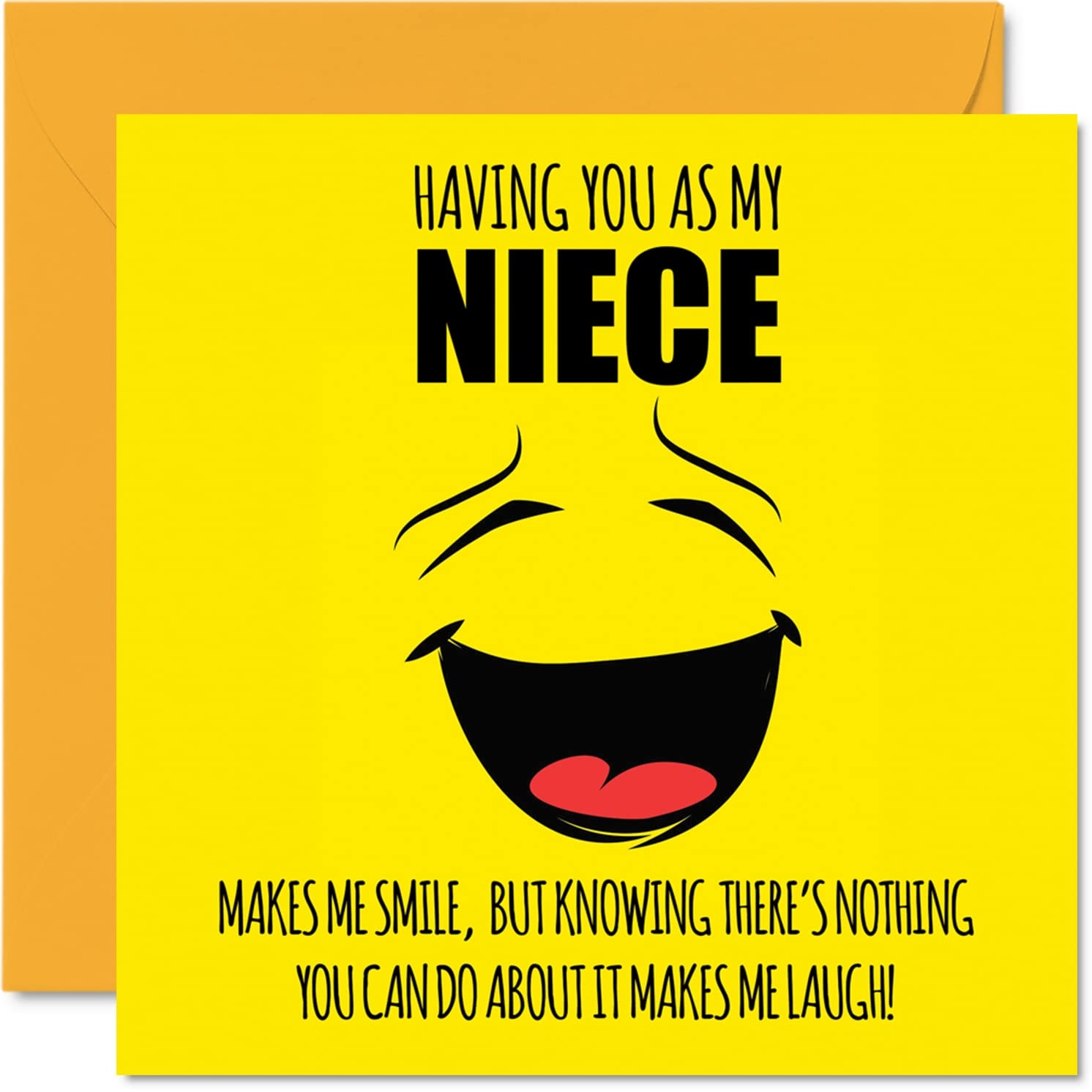 Humorous Birthday Wishes For Niece