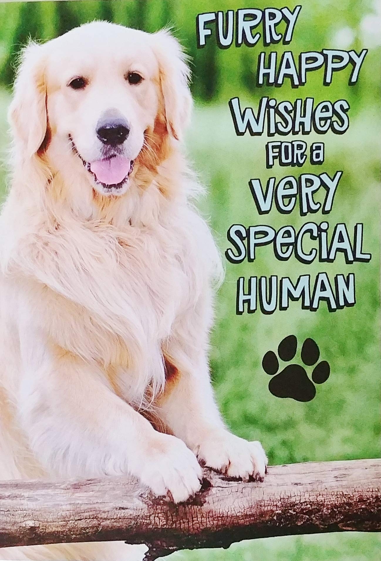 Amazon Greeting Card Furry Happy Wishes For A Very Special Human Birthday With Golden Labrador Retriever Dog With Lots Of Nice Wet Kisses And Lots Of Snuggles Office Products
