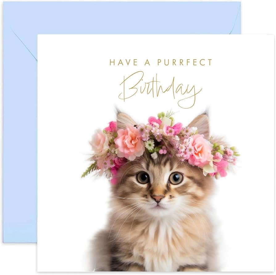 Amazon Old English Co Cute Kitten Purrfect Birthday Card For Her Fun Cat Kitten Happy Birthday Greeting Card For Women Cute Animal Birthday Cards For Sister Mum Daughter 