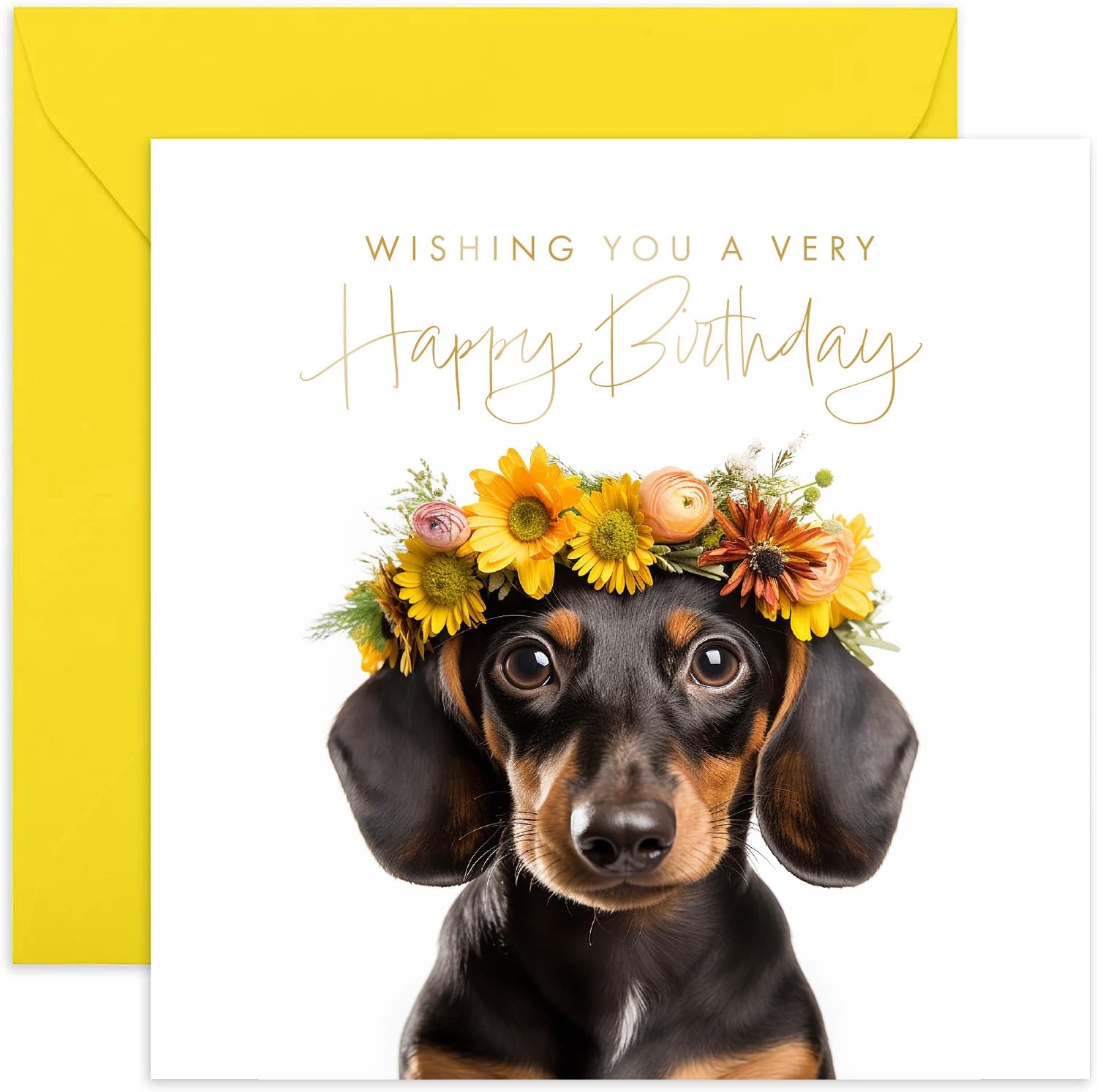 Birthday Wishes From The Dog