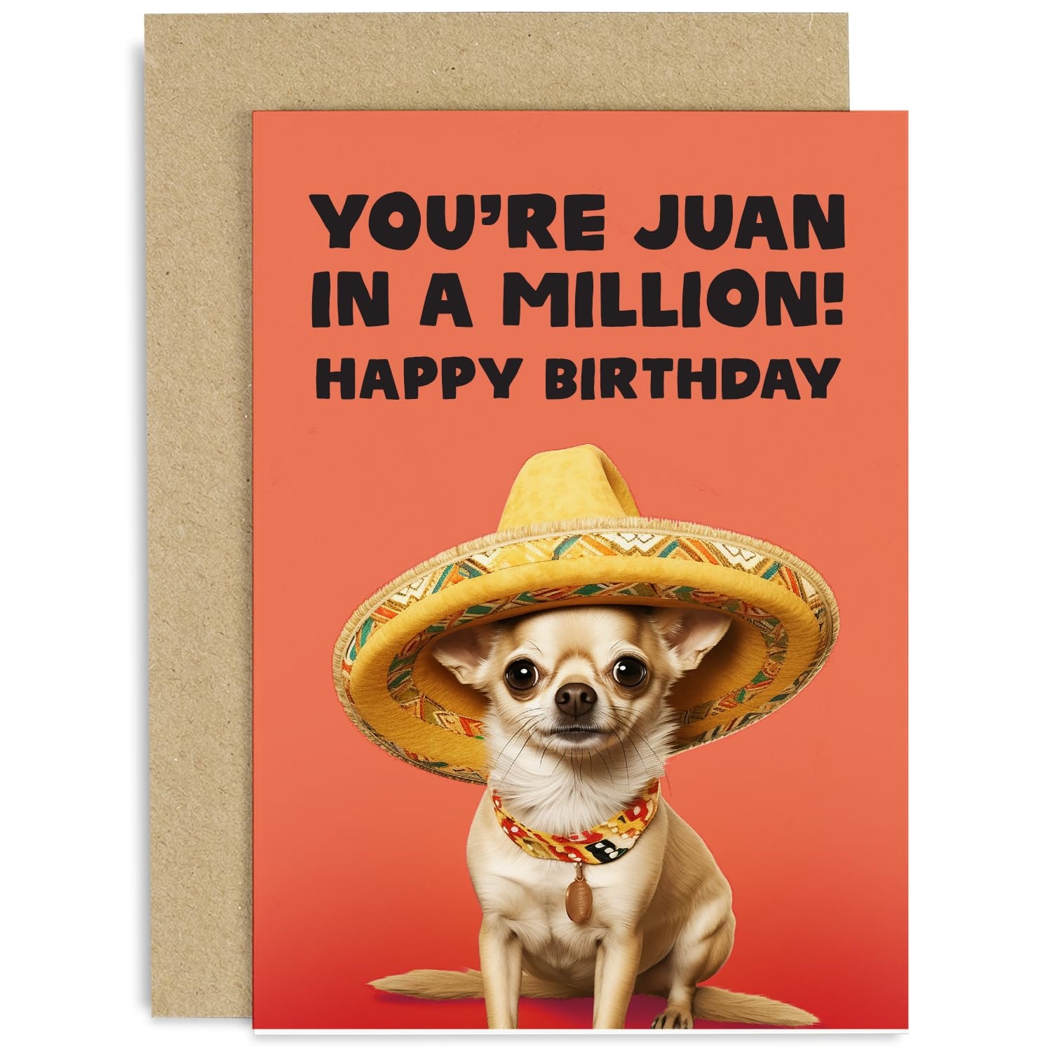 Amazon Old English Co Funny Birthday Card For Him Or Her Juan In A Million Birthday Card For Men And Women Cute Chihuahua Dog Birthday Wishes Greeting Card For