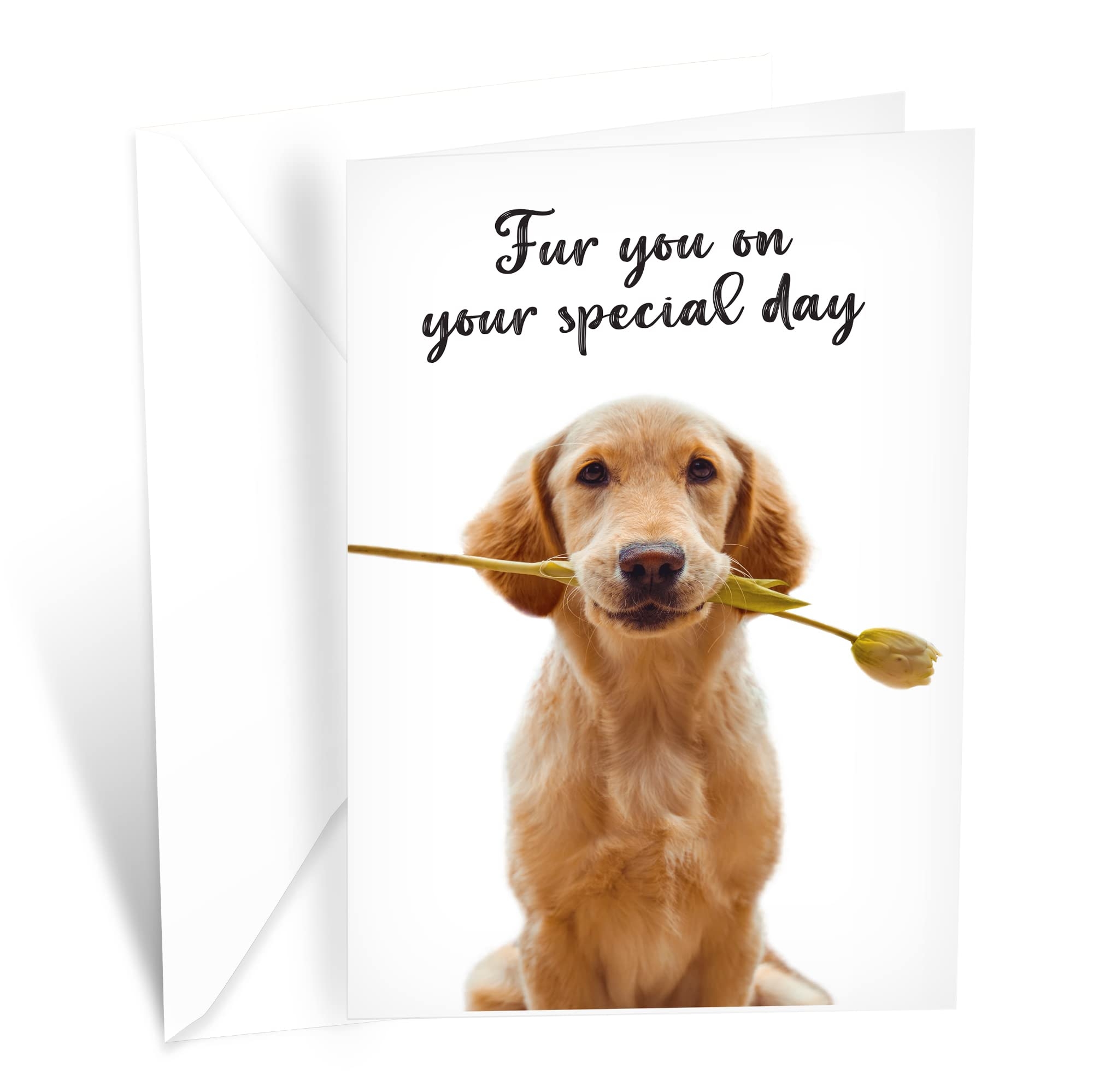 Funny Dog Birthday Wishes