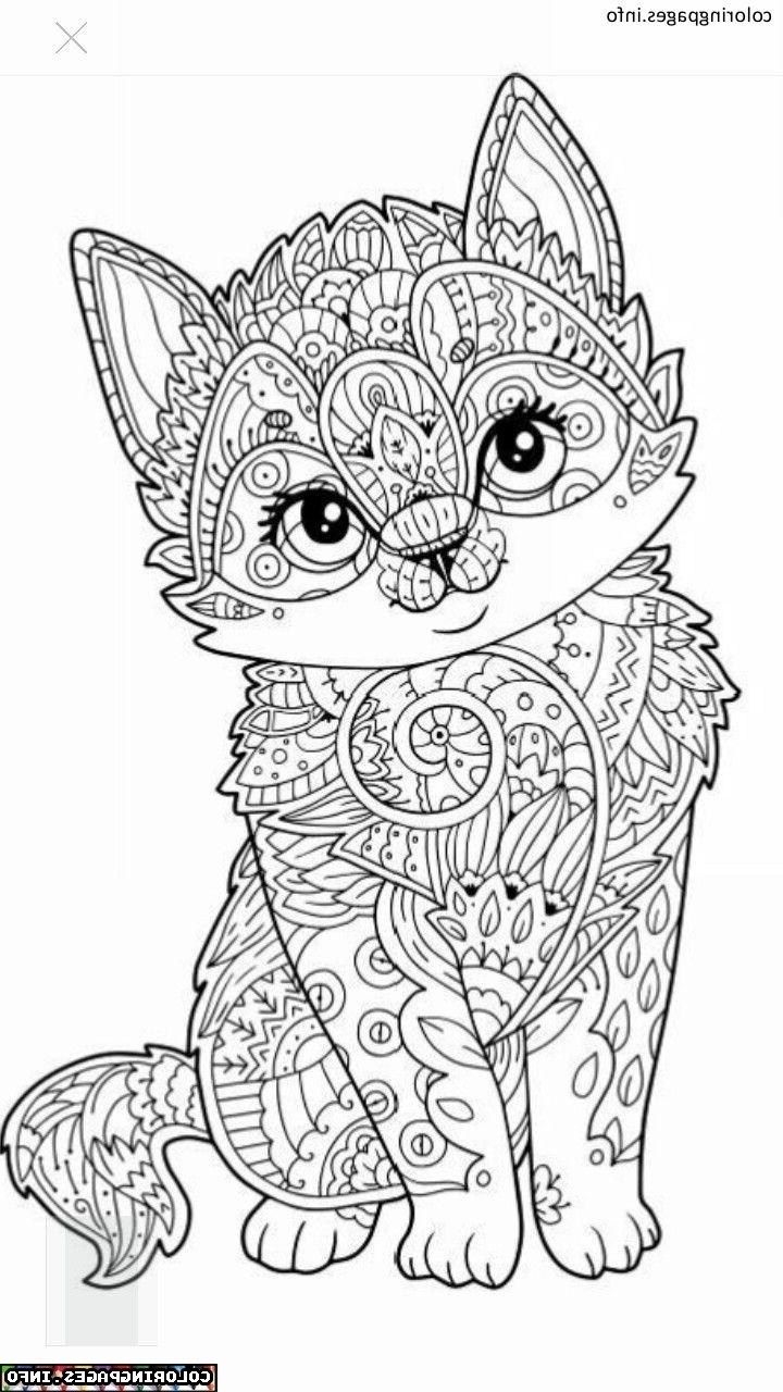 Animal Mandala Coloring Pages