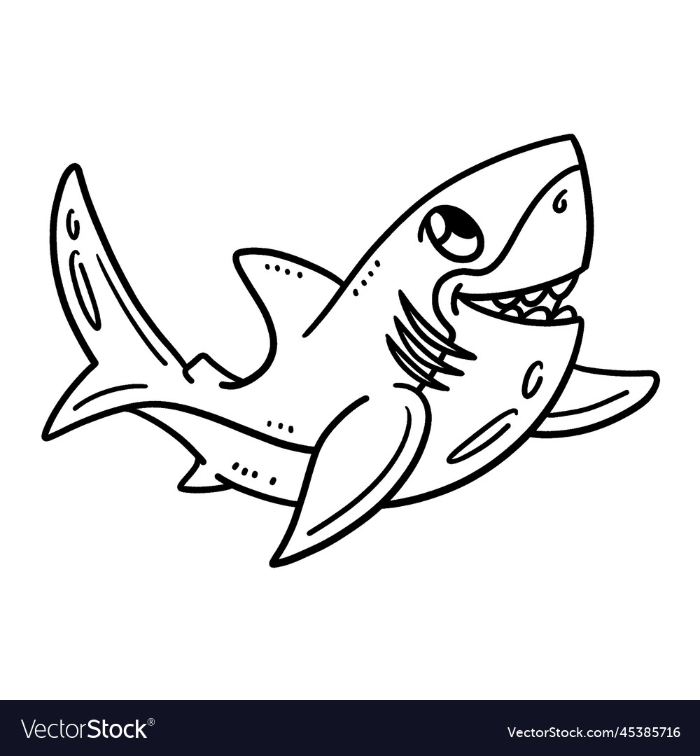 Baby Great White Shark Isolated Coloring Page Vector Image