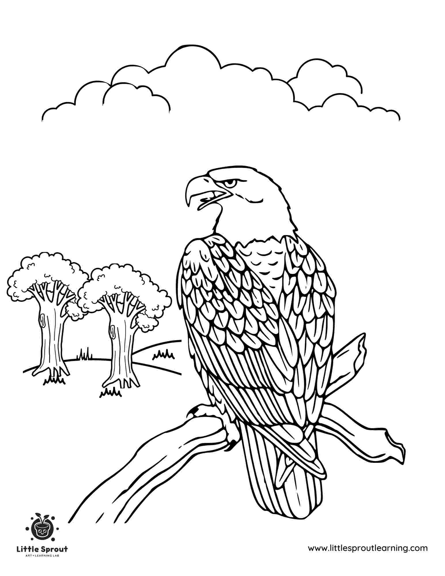 bald eagle coloring page