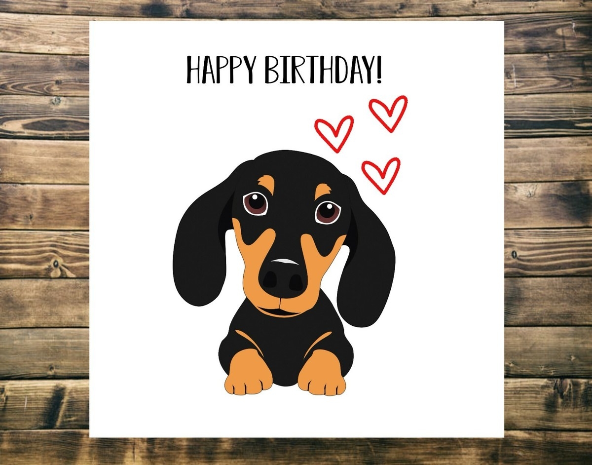 Birthday Card From Dog Cute Dachshund Novelty Cute Sausage Dog Birthday EBay