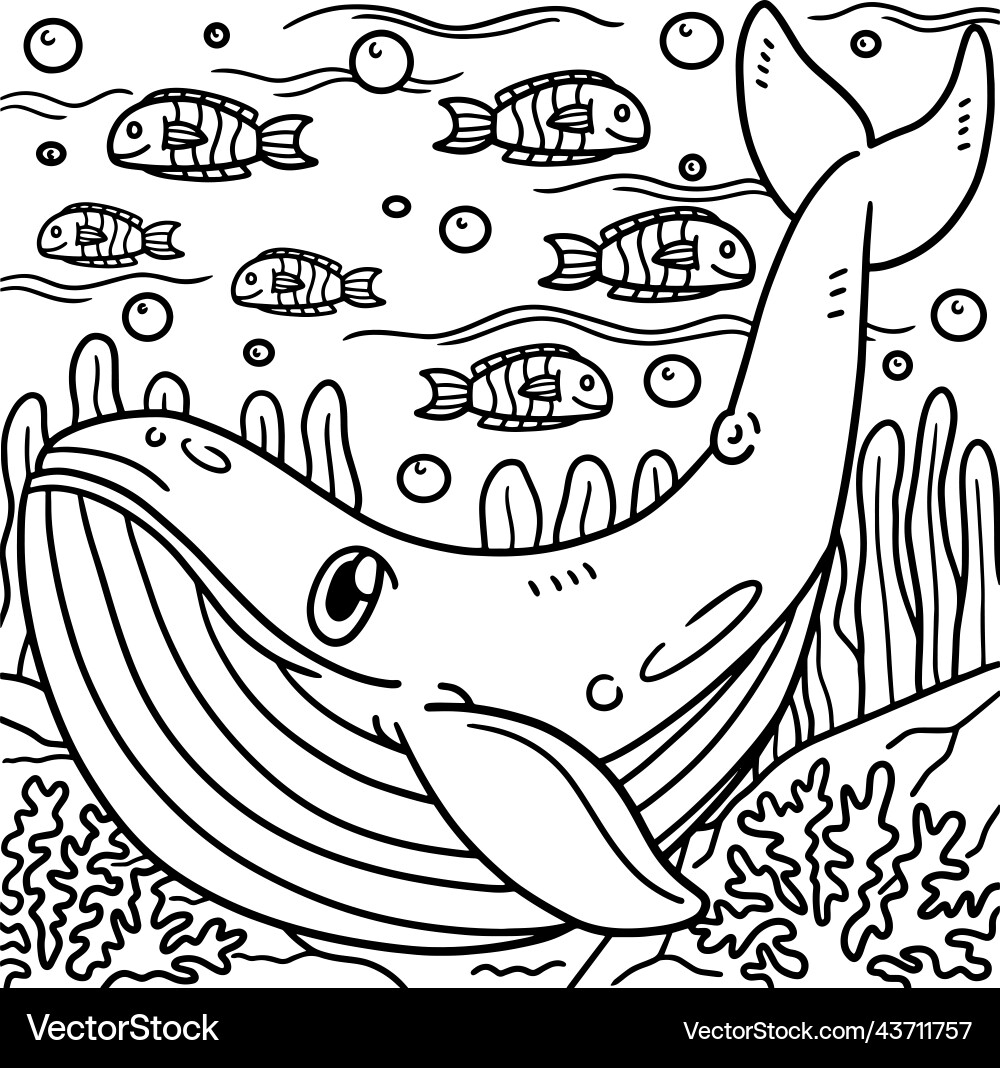 Blue Whale Coloring Page Royalty Free Vector Image