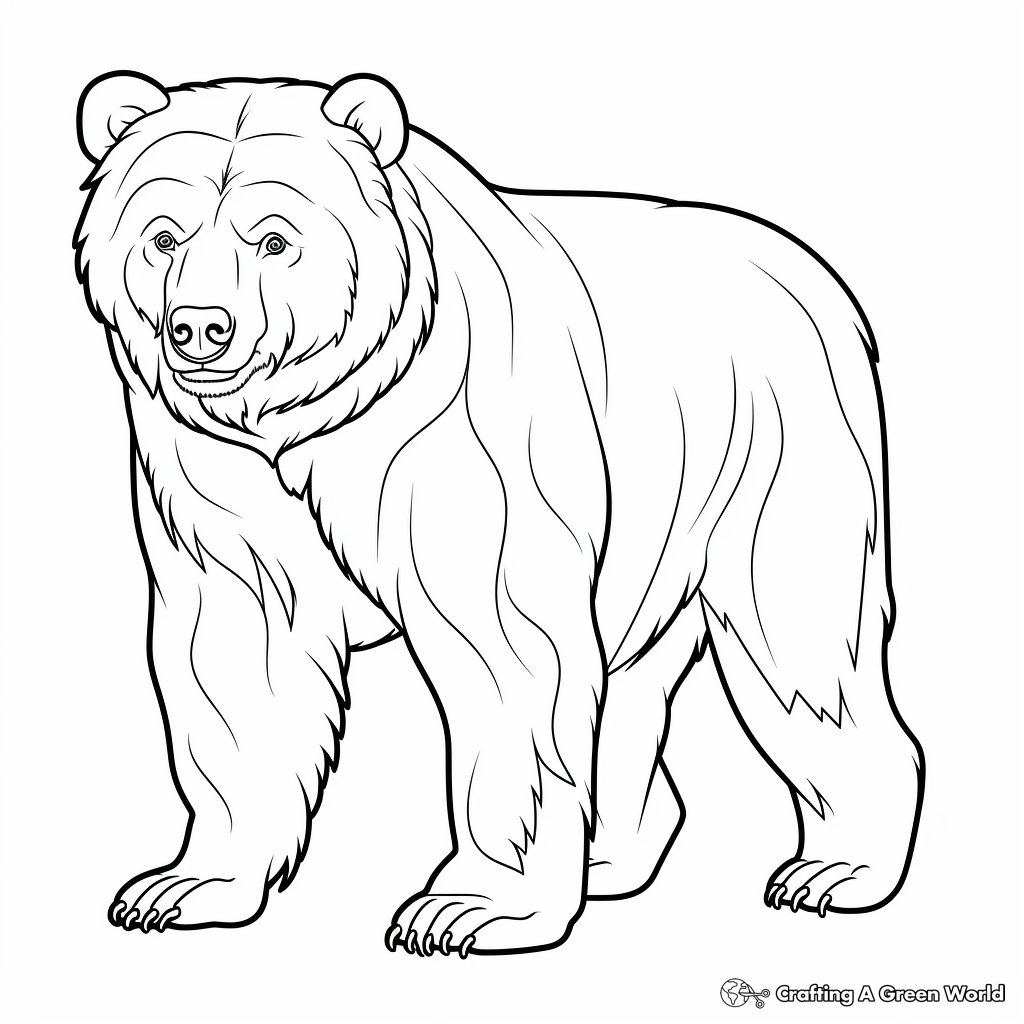 Brown Bear Coloring Pages Free Printable  Brown Bear Coloring Pages Free Printable
