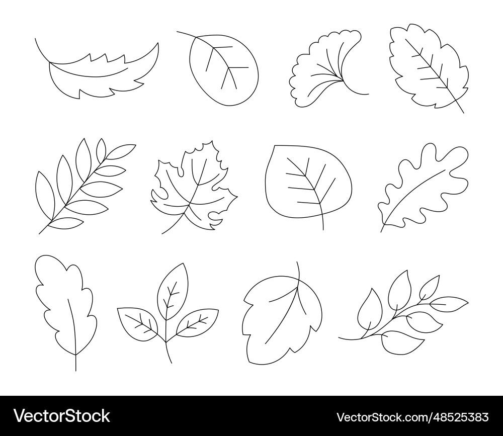 autumn leaves coloring page autumn leaves coloring page
