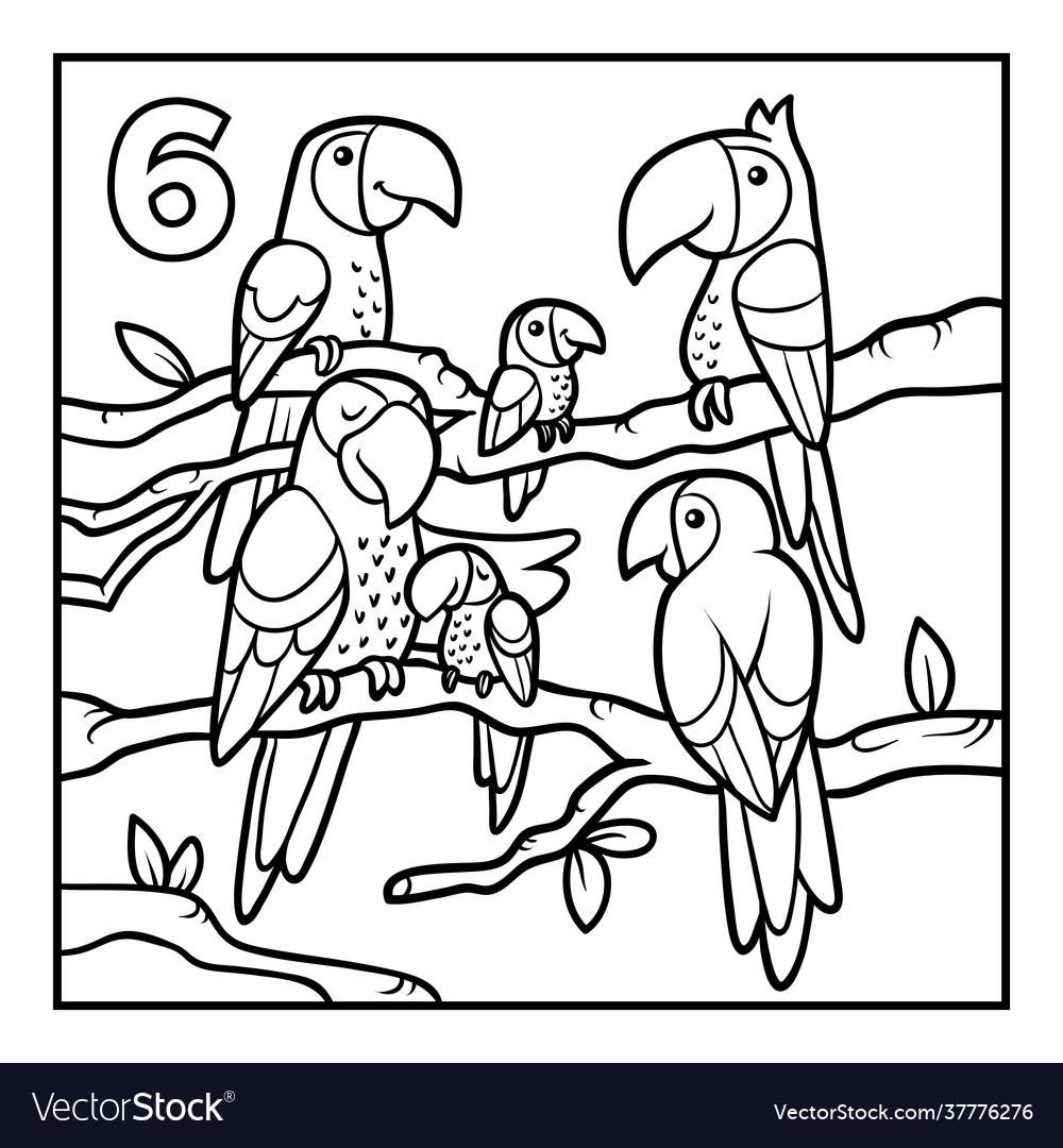 coloring pictures of parrots