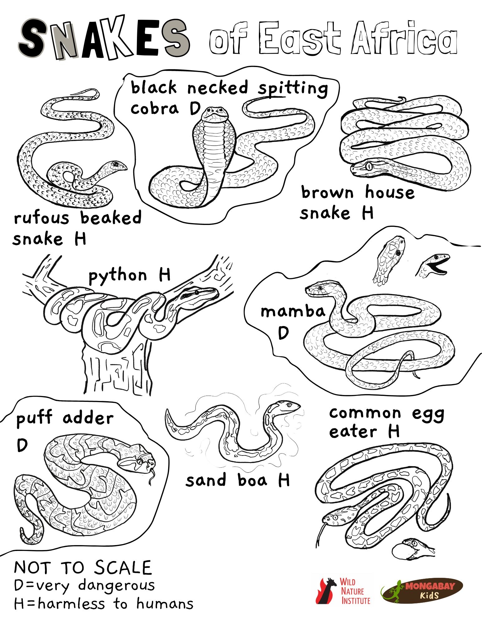 Coloring Page Snakes Of East Africa Mongabay Kids Coloring Page Snakes Of East Africa Mongabay Kids