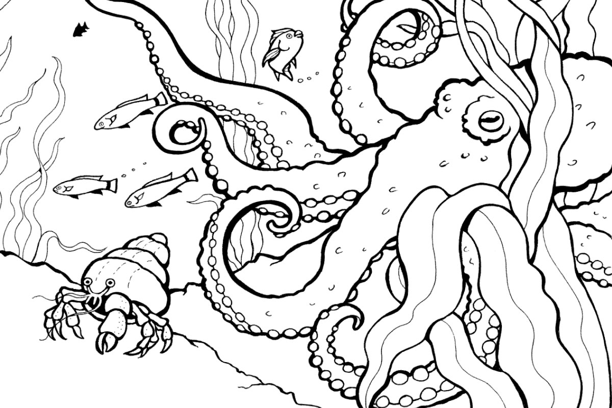 ocean life coloring pages