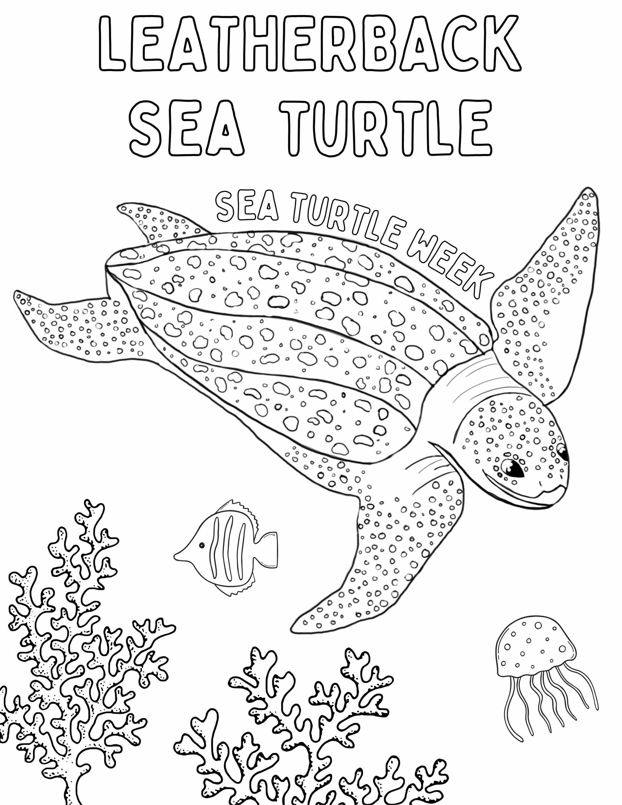 Coloring Sheets SeaTurtleWeek