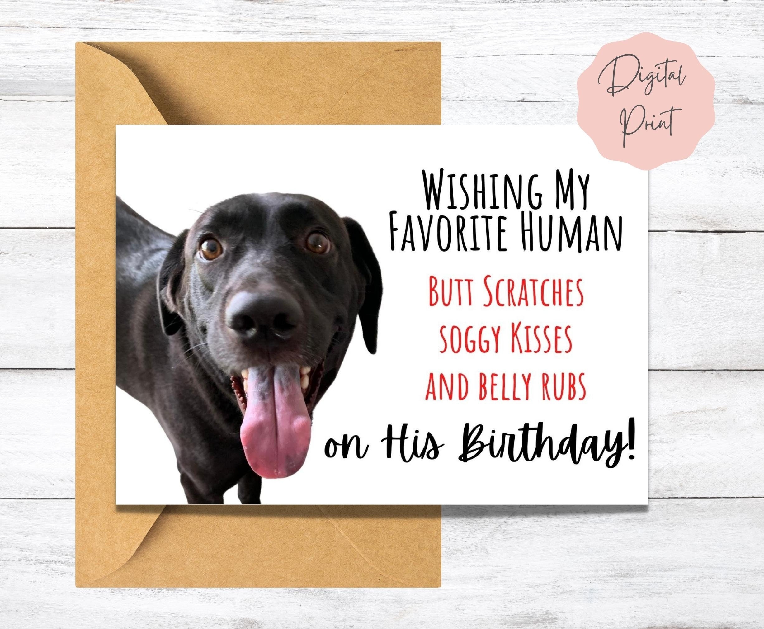 Cute Birthday Card For Dog Dad From Black Lab Dog Wishes To Human Printable Bday Card Funny Birthday Card For Him Digital File Etsy