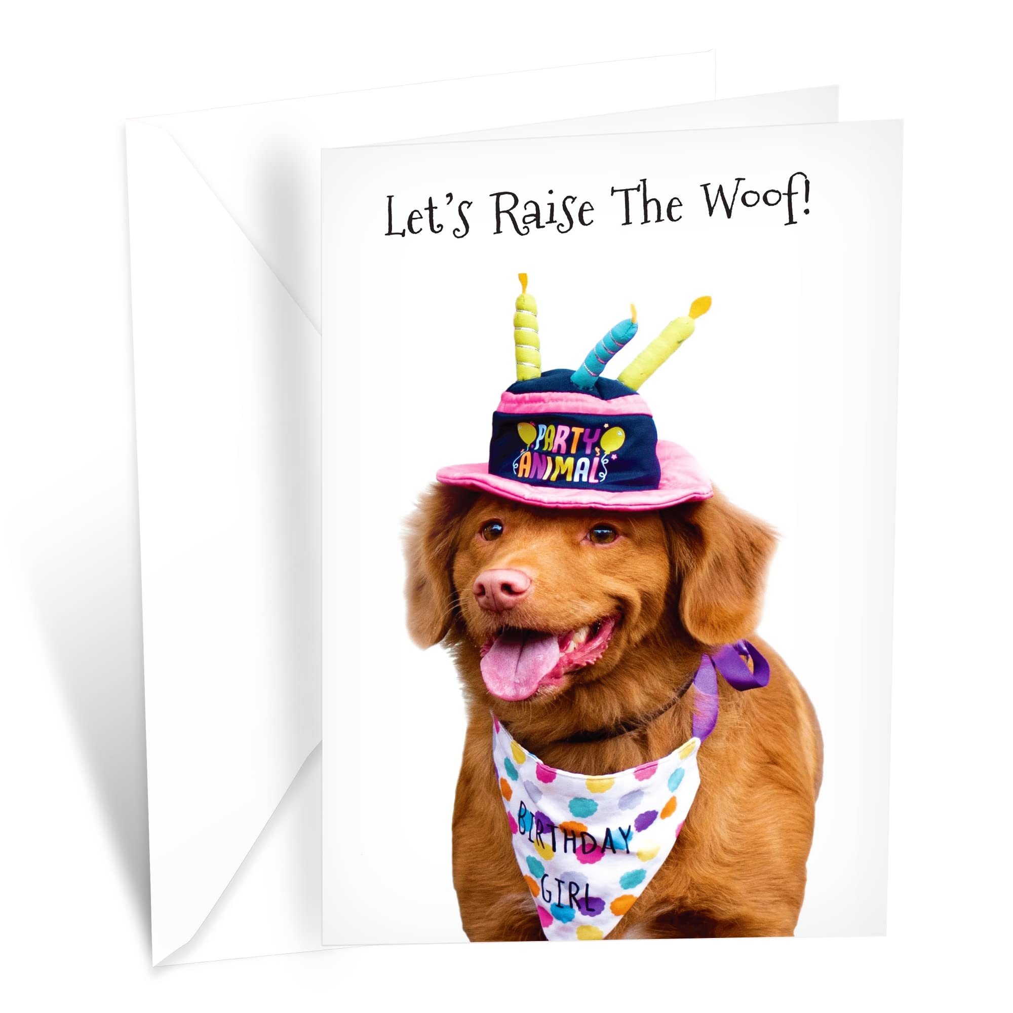 funny dog birthday wishes funny dog birthday wishes