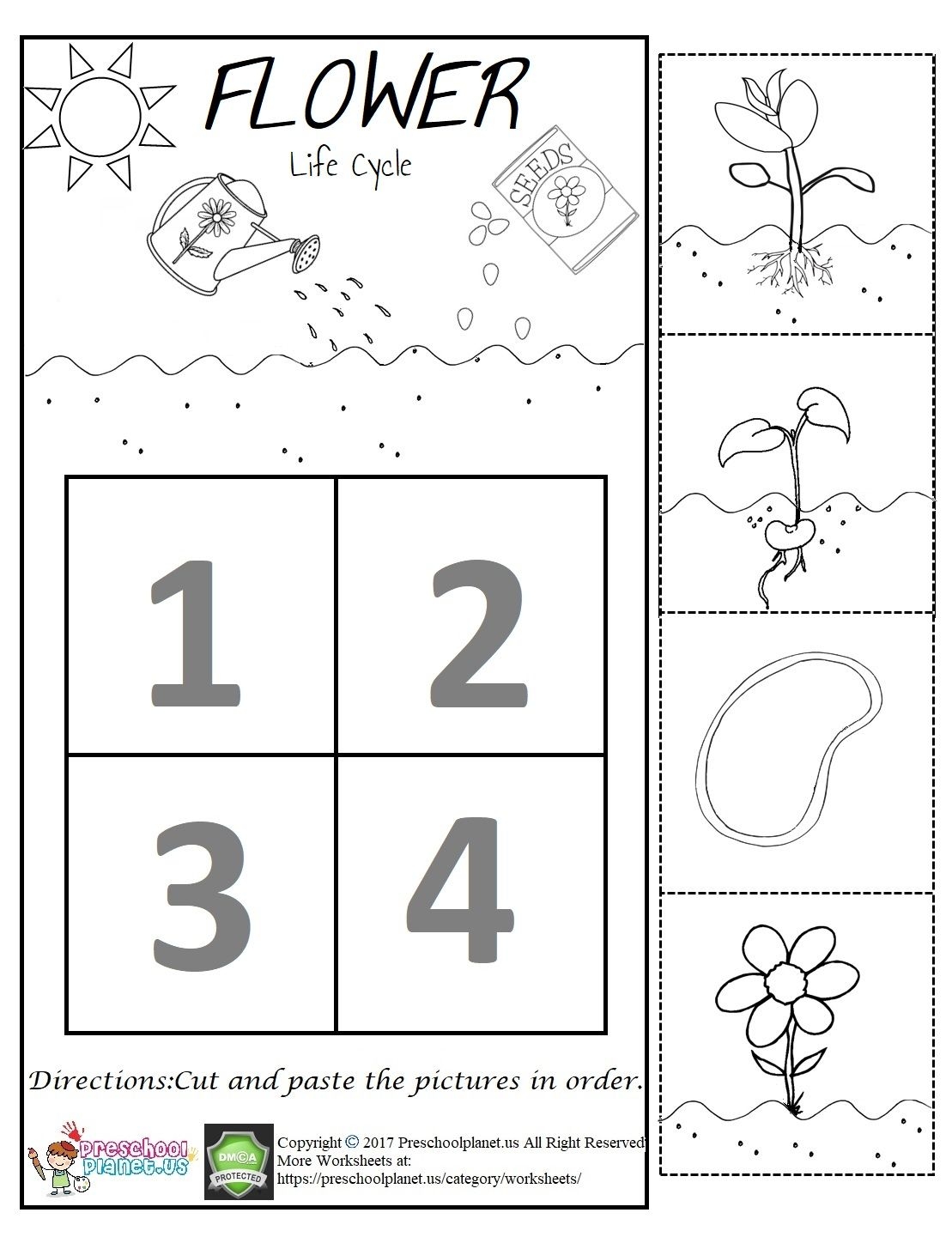 flower worksheet for preschool