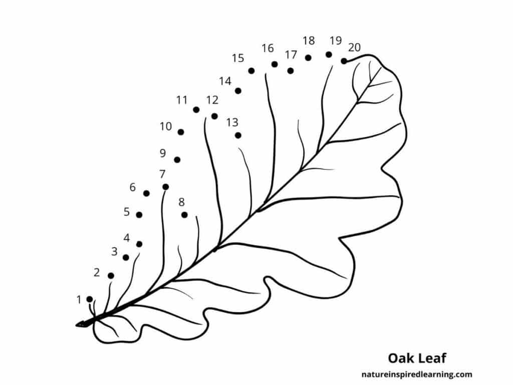 dot to dot worksheets 1 20 pdf