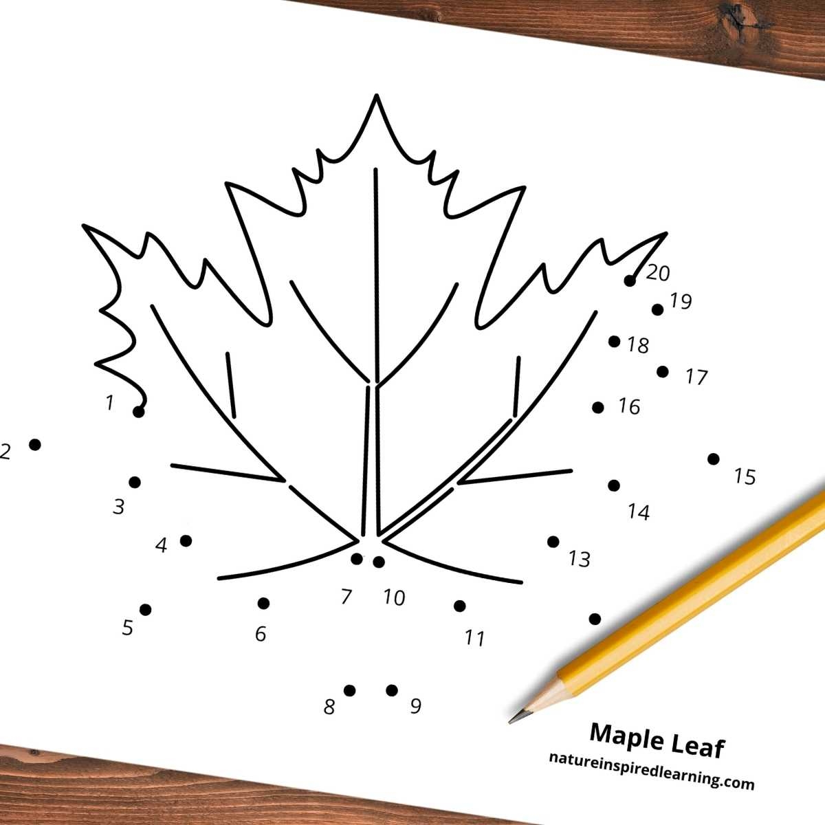 dot to dot worksheets for kindergarten