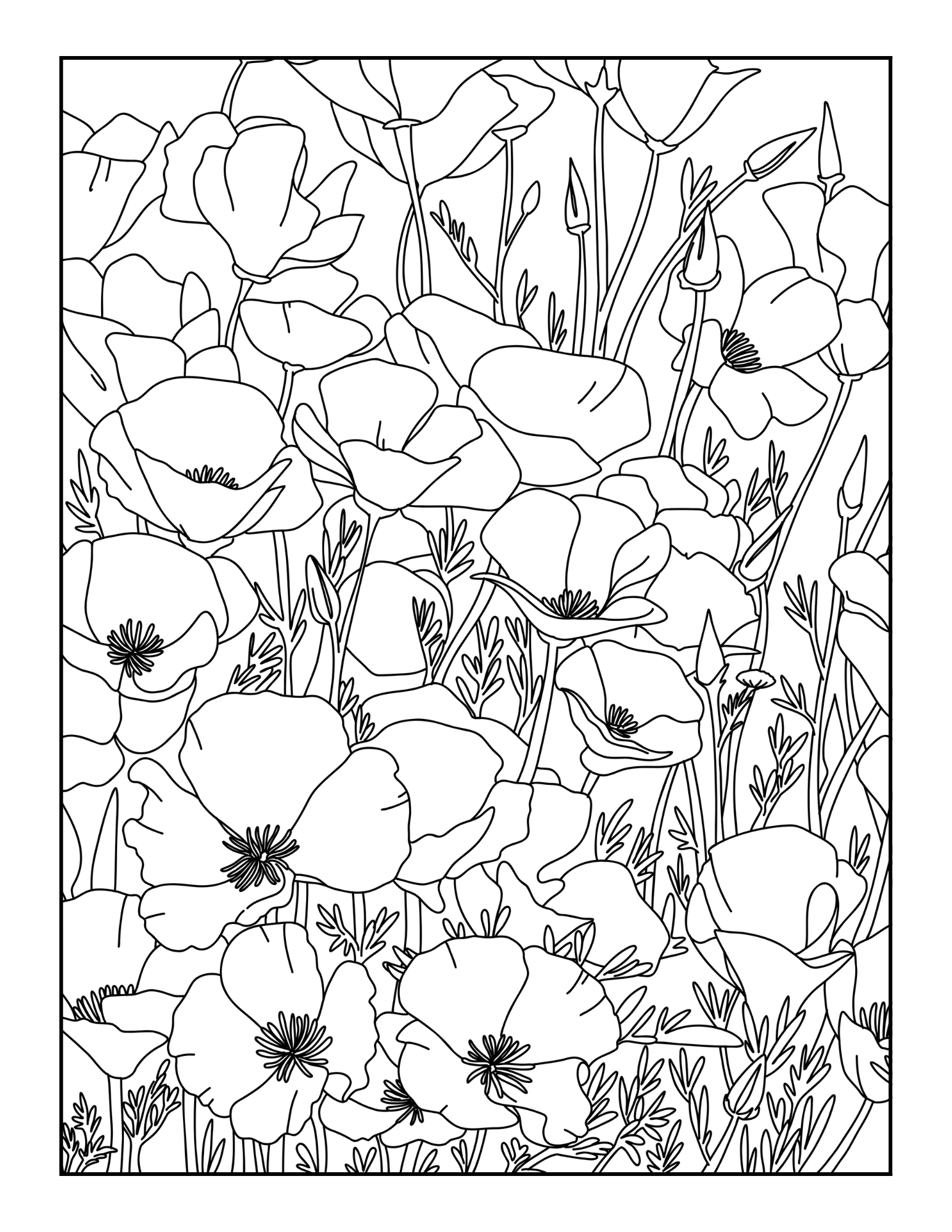 coloring pages realistic flowers