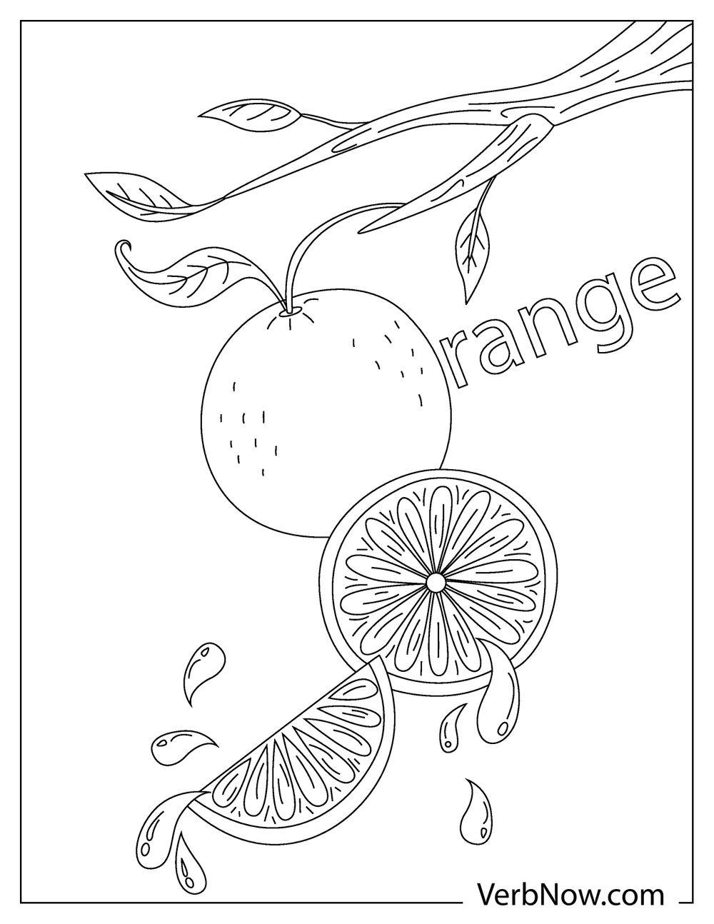 Free ORANGE Coloring Pages For Download Printable PDF Free ORANGE Coloring Pages For Download Printable PDF