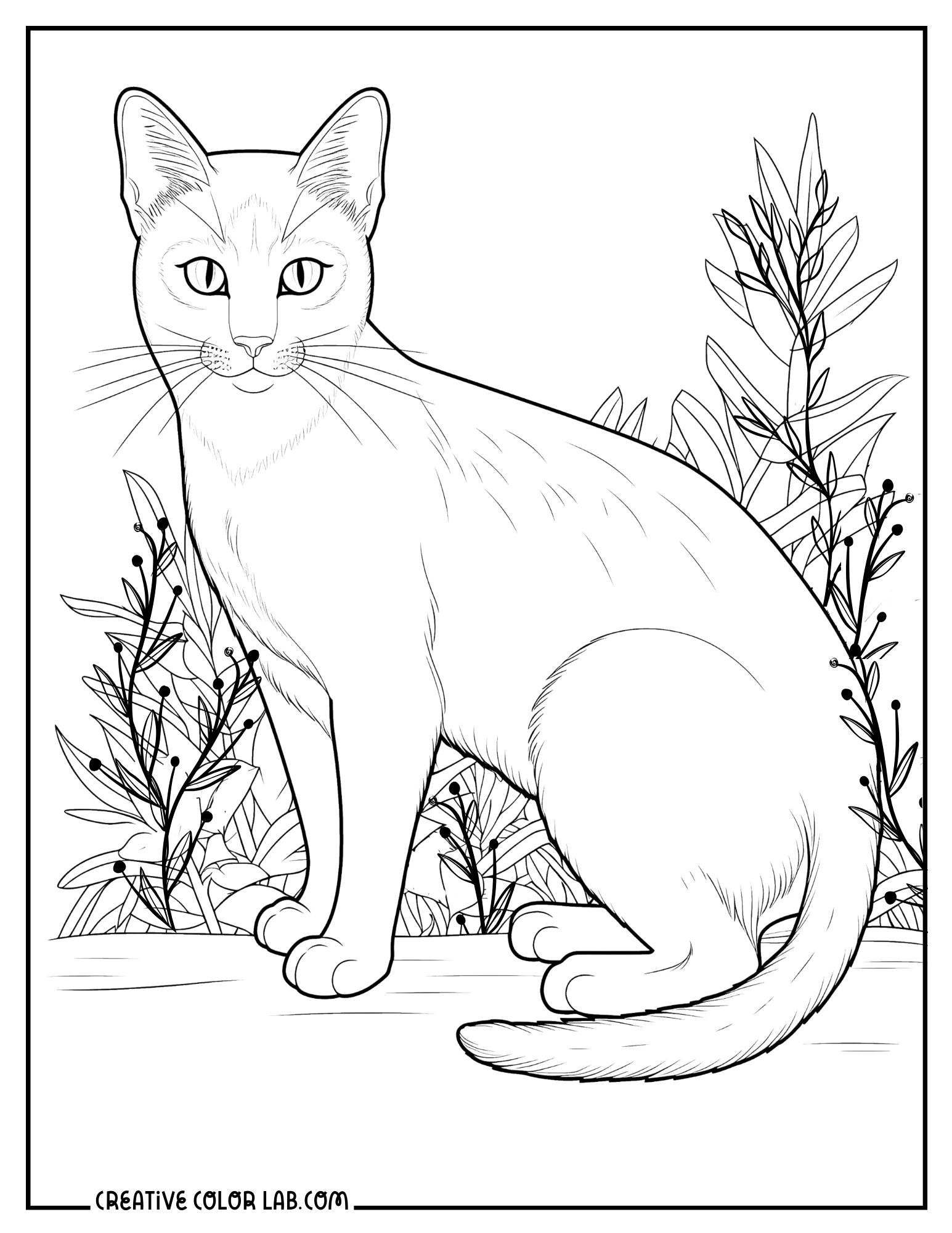 printable cat coloring pages