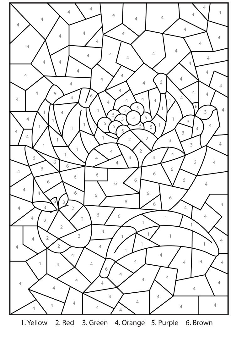 free colour by number worksheets