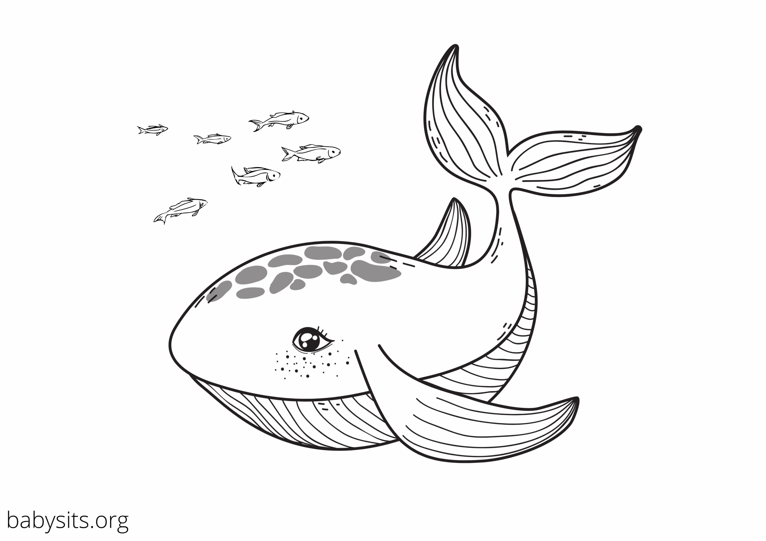 sea life coloring pages sea life coloring pages