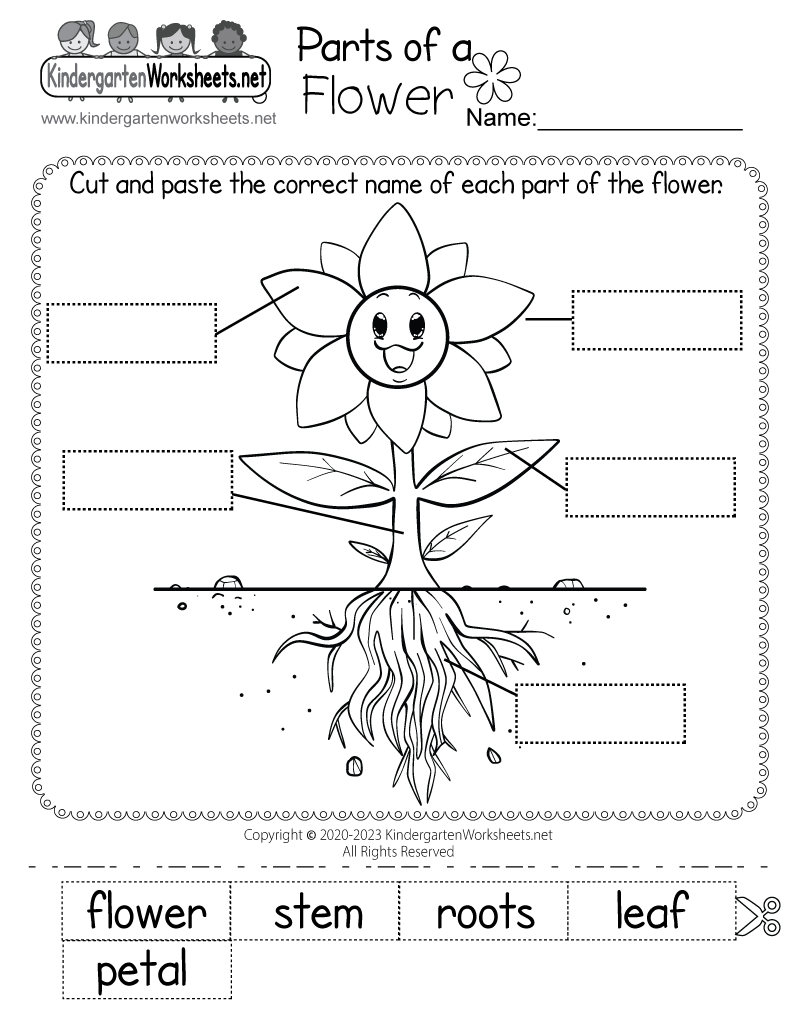 Flower Worksheet For Preschool