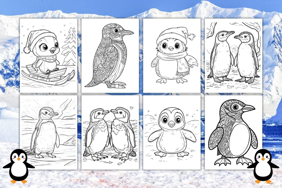 cute penguin coloring pages cute penguin coloring pages