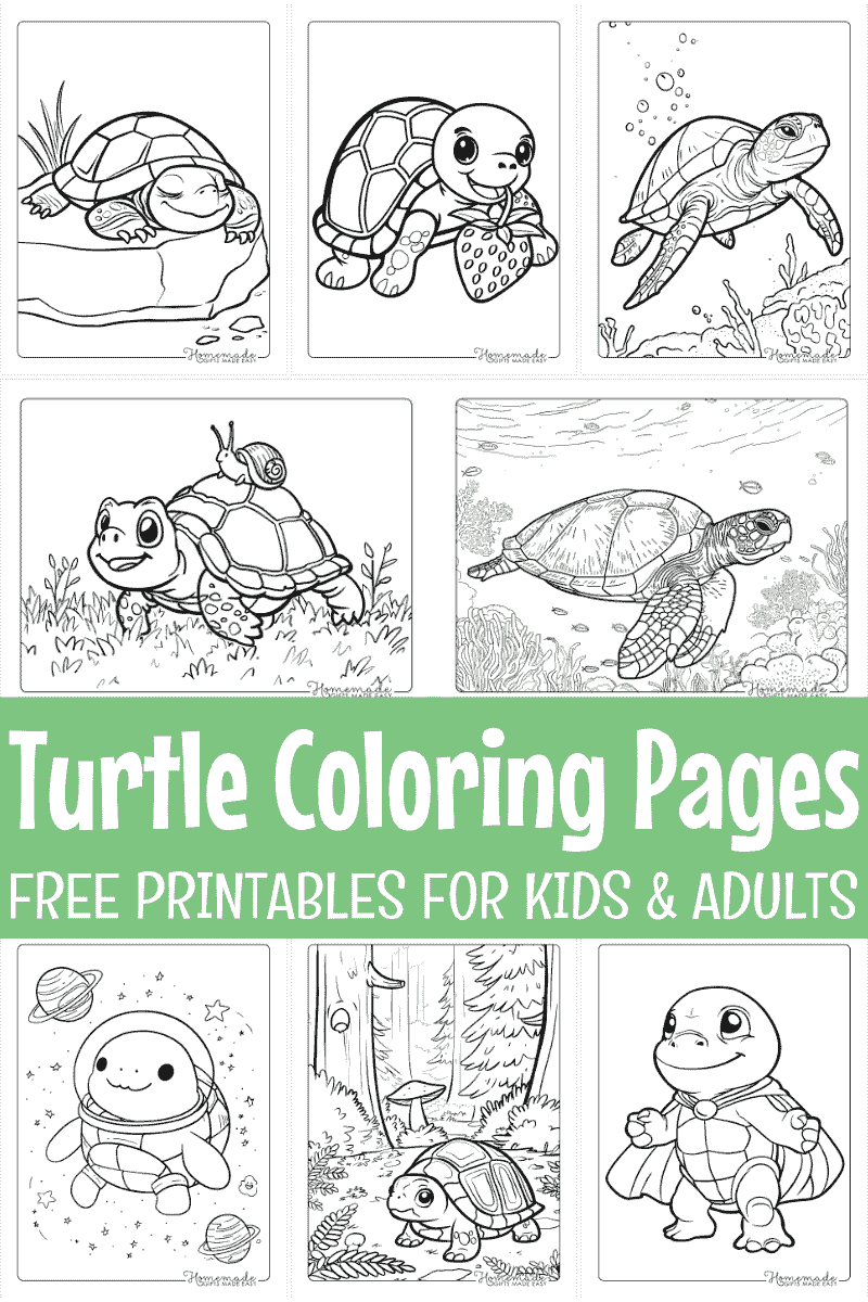 Free Printable Turtle Coloring Pages For Kids And Adults