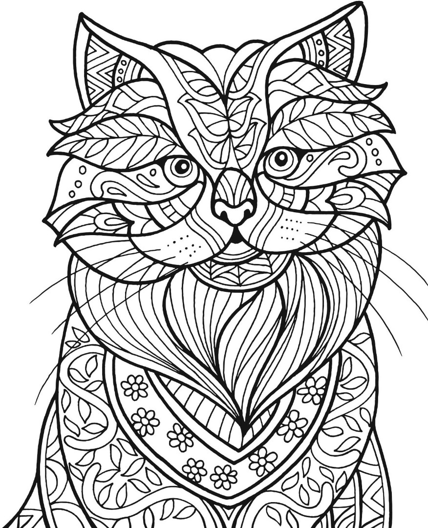 Cat Coloring Book Pages