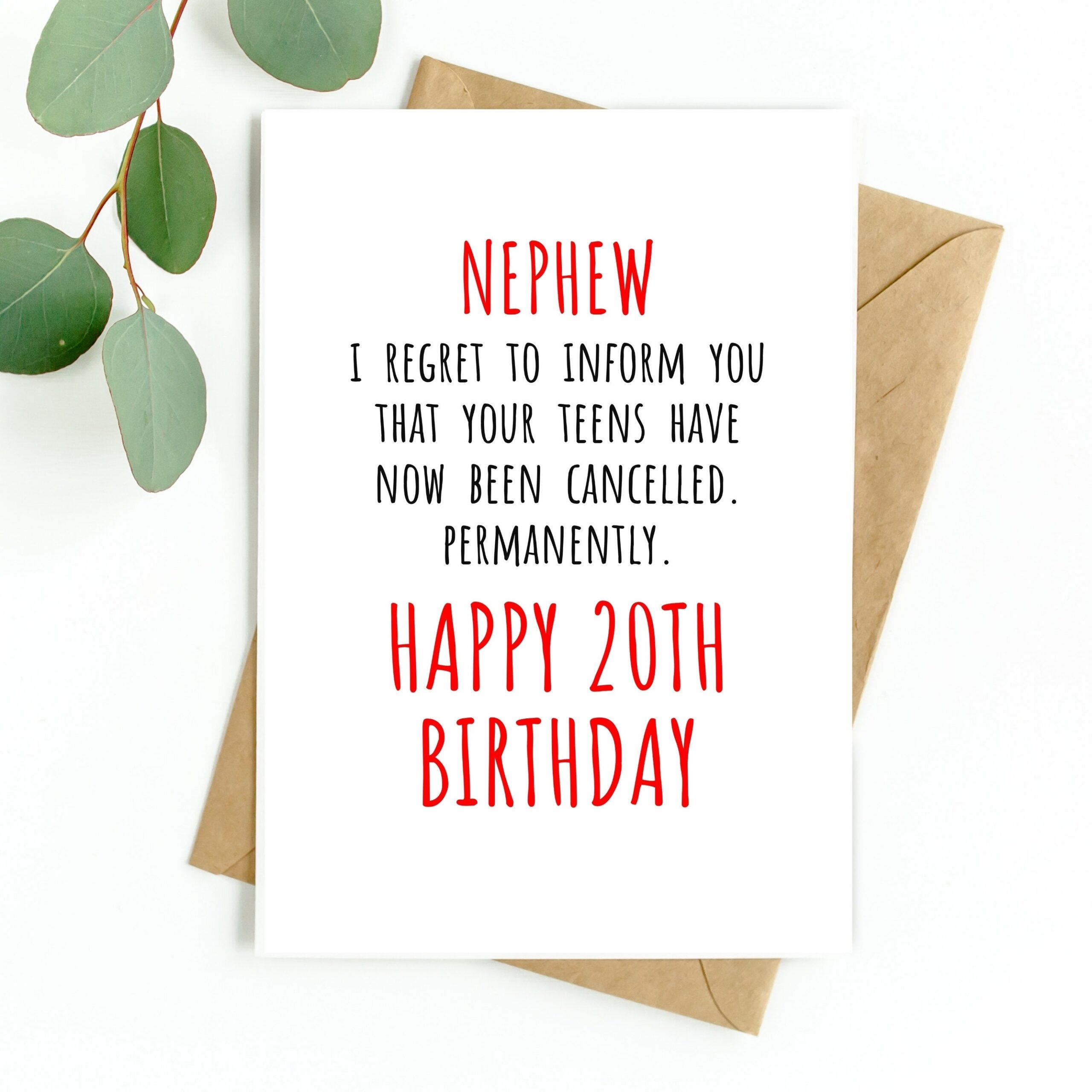 Funny 20th Birthday Card 20th Birthday Card For Son Daughter Sister Brother Nephew Niece Grandson Granddaughter Godson Goddaughter 20 Etsy