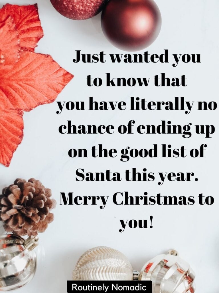 merry xmas wishes funny