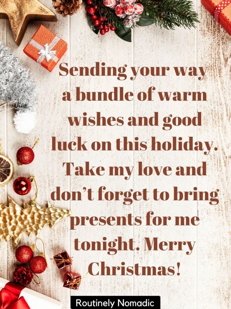 Funny Christmas Wishes 150 Funny Christmas Greetings Routinely Nomadic